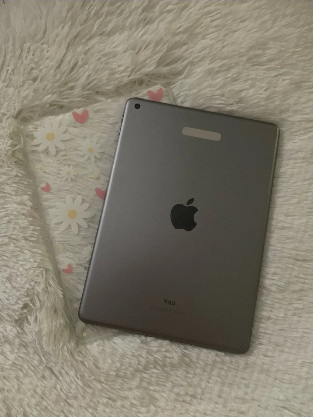 Apple iPad in Gray with Clear Floral Heart Case